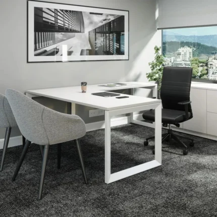 ALBUSPACE – Contemporary Style L Shape Work Desk with Metallic Frame